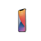 Nebula™ Tempered Glass Screen Protectors - iPhone 12 Pro Max